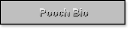 Pooch Bio